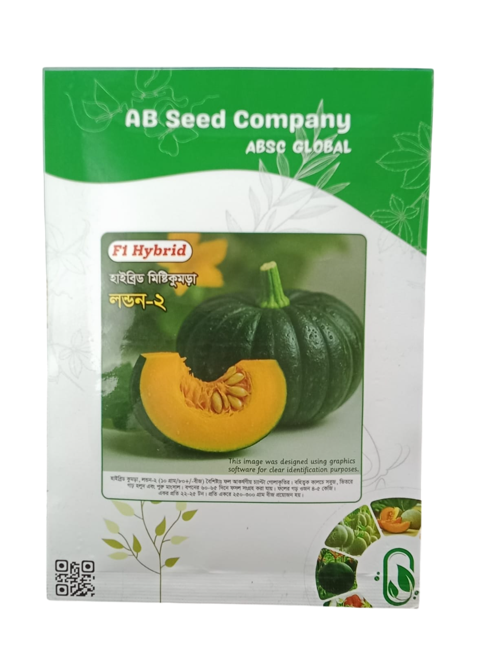 Hybrid sweet pumpkin
